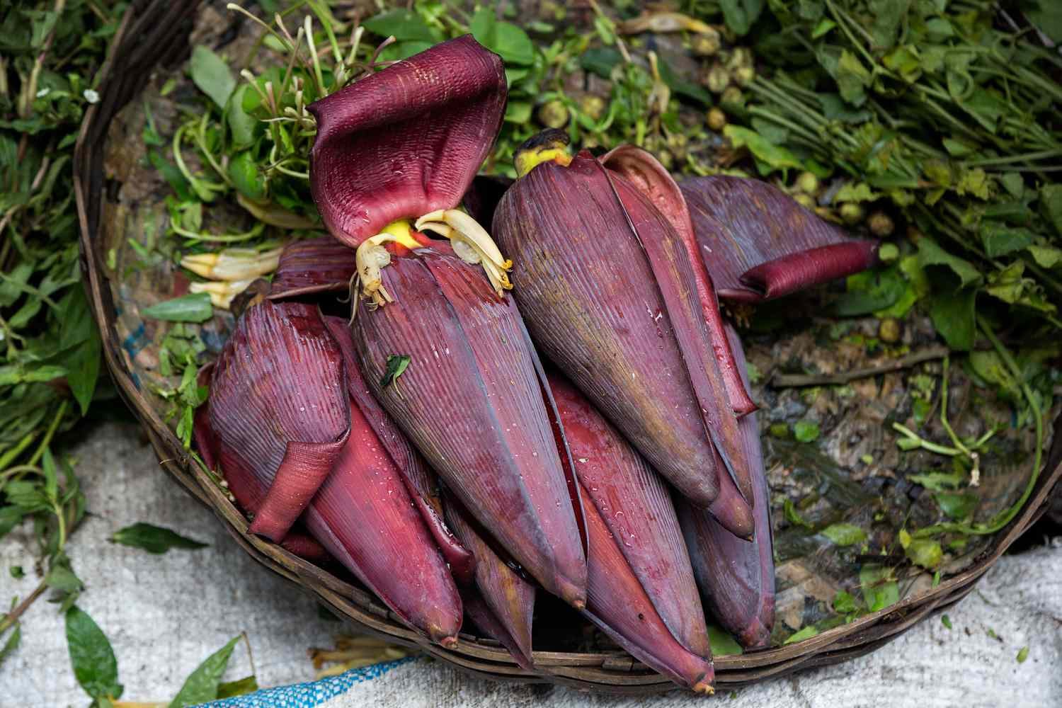 Large purple cone